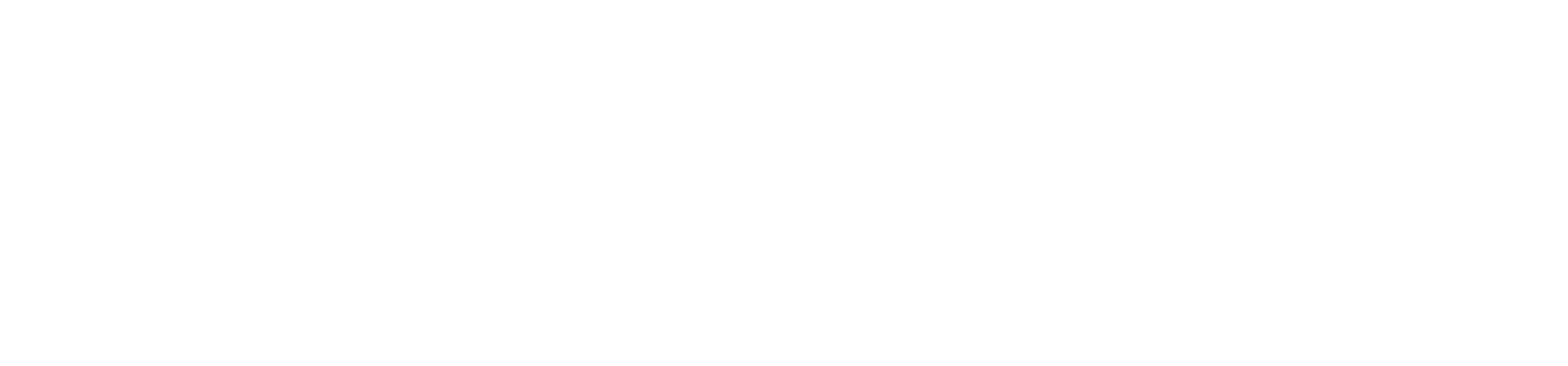 Travel Leisure
