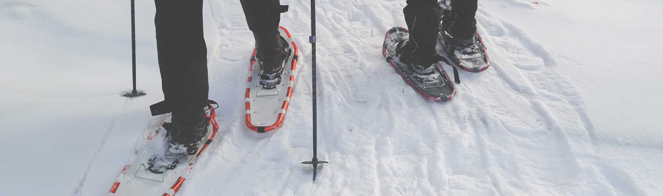 Snowshoeing